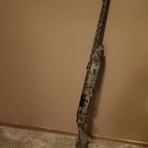 M935.jpg