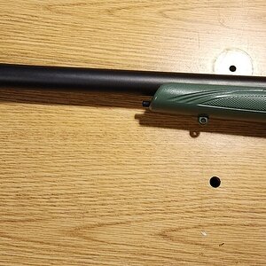Stevens-03.jpg