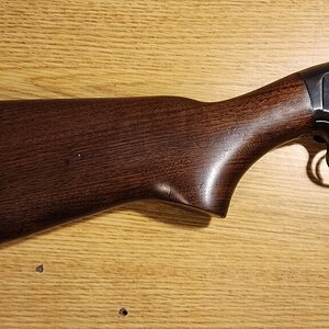 Model12-12-08.jpg