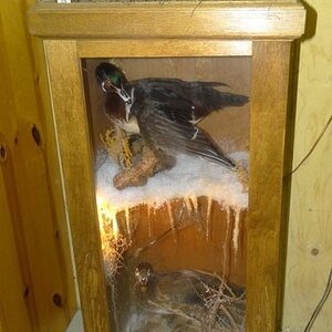 DUCK 1.jpg