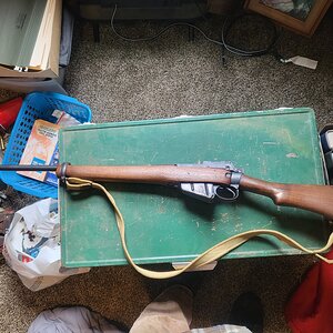20230430_120522.jpg