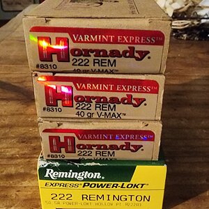 222REM-01.jpg