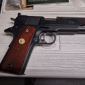 1911-1.jpg