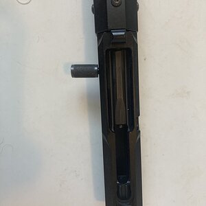 4583.jpg