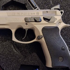 P-01.jpg