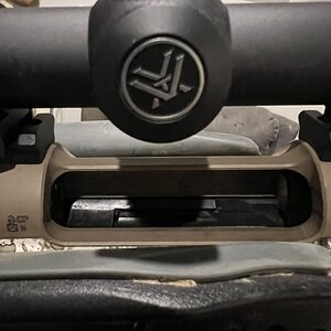 IMG_4604.jpeg