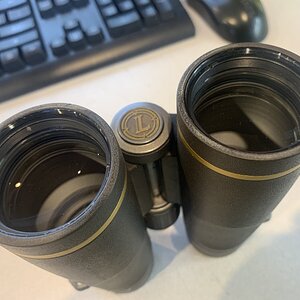 IMG_8786.jpeg