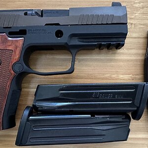 p320axg_02.jpeg