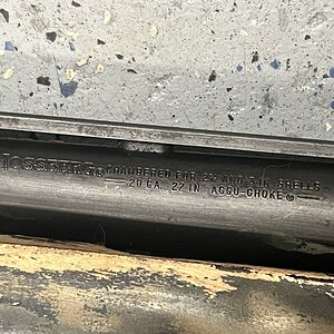 IMG_6652.jpeg