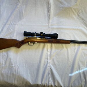 Marlin Model 60 22LR 1.jpg