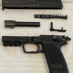 HK 2.jpeg