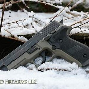 sigp226fdesmall.jpg