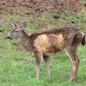 IMG_2151.jpg