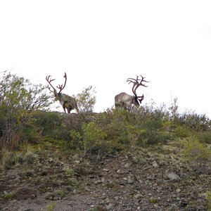 IMG_0301.JPG
