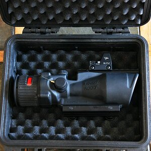 acog-4.jpg