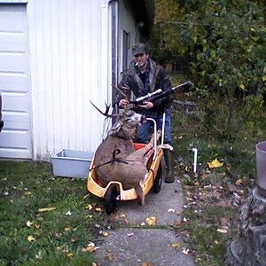 deer 2011.jpg