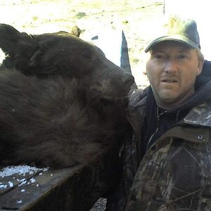 bear09.jpg