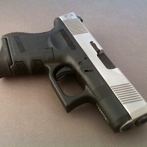 StainlessGlock2.jpg
