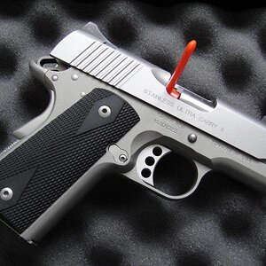 kimber2.jpg