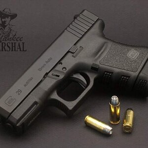 Glock29-1.jpg