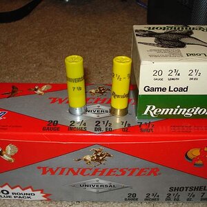 shotgunshells.jpg