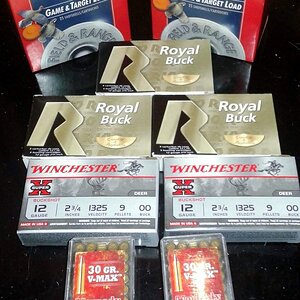ammo12.jpg