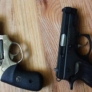 cz and ruger 2.jpg