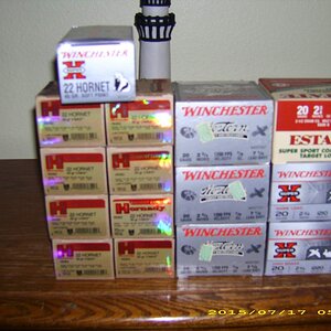 DSCI2296.JPG