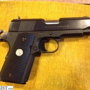 4075198_01_colt_lw_officers_acp__640.jpg