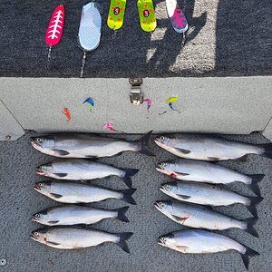 20150825_092833.jpg