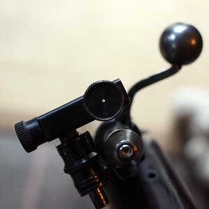 IMG_8736.JPG