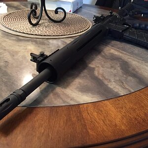 Colt3.JPG