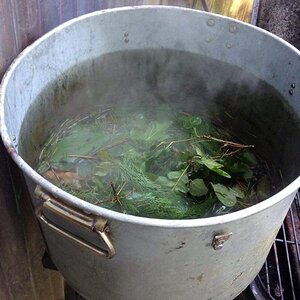 Nature Brew1.jpg