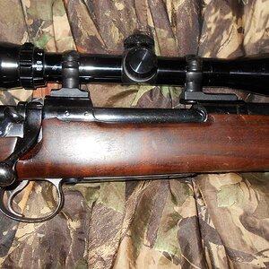 rifles 005.JPG