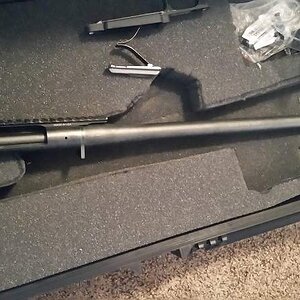 barreled action.jpg