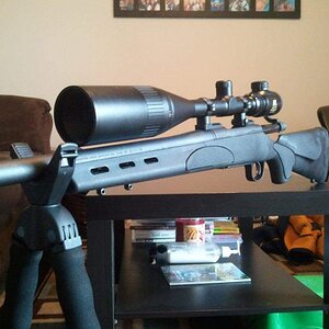 .22-250 3.jpg