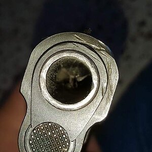 19116.jpg