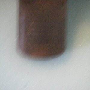 DSCF2950.JPG