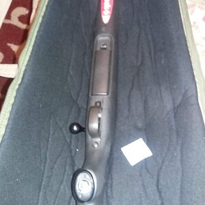 20160429_071202.jpg