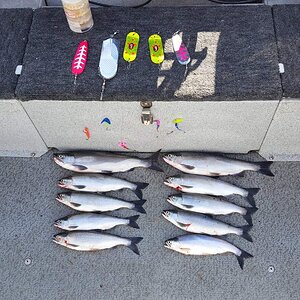 20150825_092829.jpg