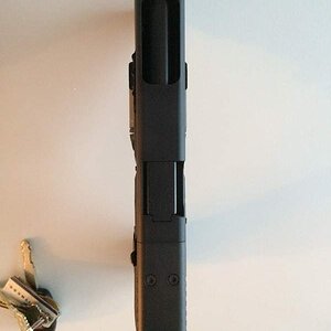 IMG_3259_zpsl6xdywdp.jpg
