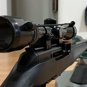 Remington Viper 522 with Burris Scope 1-9