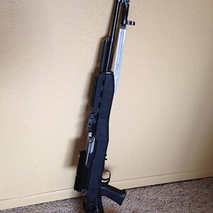 sks standing.JPG