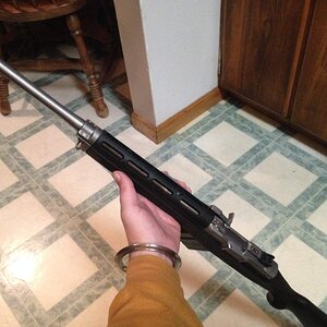 image.jpeg