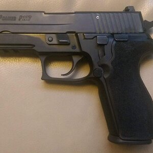 P227.45ACP.jpg