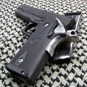sti2011b.jpg