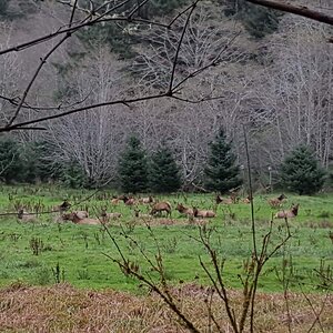 IMG_0676.JPG
