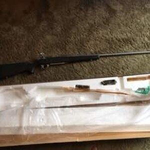 Browning 2.JPG
