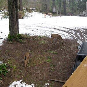 IMG_1096.JPG