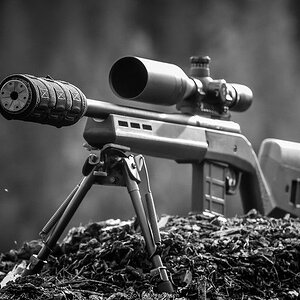 MAX_5617-L.jpg